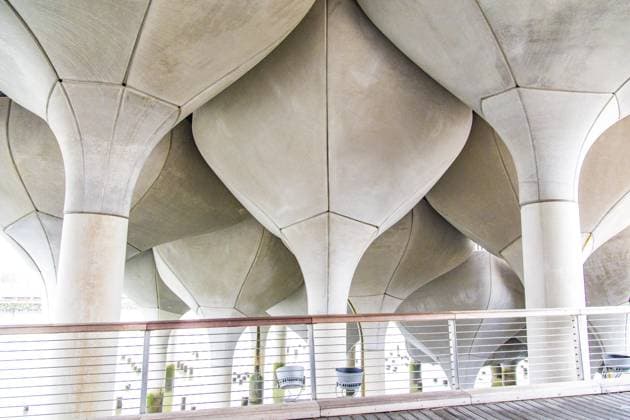 View of the supporting columns from below: Little Island at Pier 55, an artificial island park in the Hudson River, Manhattan, New York City *** View of The Supporting Columns from below Little Iceland AT Pier 55, to Artificial Iceland Park in The Hudson River, Manhattan, New York City Copyright: imageBROKER Hans-WernerxRodrian iblhro10508268.jpg RECORD DATE NOT STATED