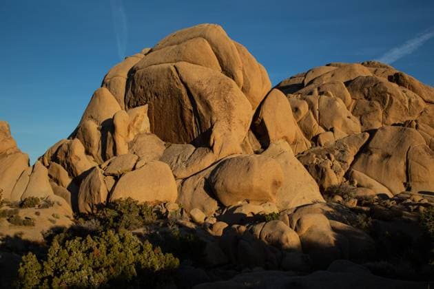 Creative Highlights World Golden hour illuminates boulders at Joshua Tree Joshua Tree, California, United States R_NBUC240427-1393421-01