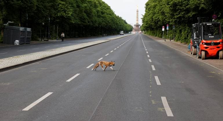 Deutschland, Berlin, Aufbau der Fanmeile, Straße des 17. Juni für fast drei Monate gesperrt.