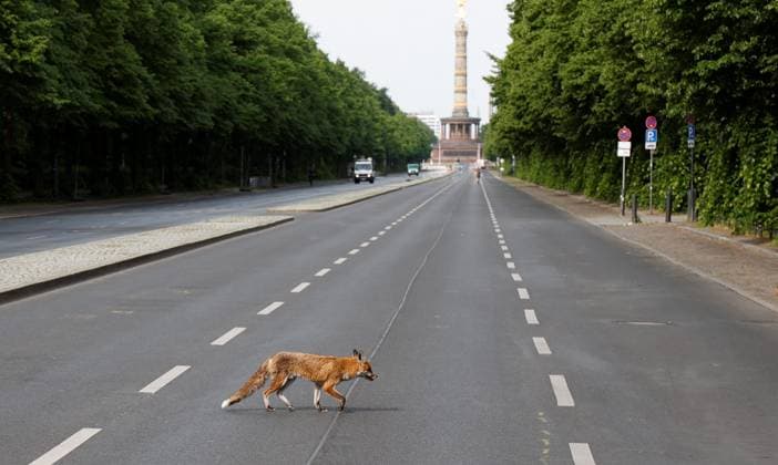 Deutschland, Berlin, Aufbau der Fanmeile, Straße des 17. Juni für fast drei Monate gesperrt.