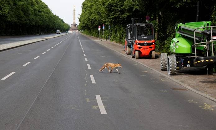 News Themen der Woche KW19 News Bilder des Tages Deutschland, Berlin, Aufbau der Fanmeile, Straße des 17. Juni für fast drei Monate gesperrt. *** Germany, Berlin, construction of the Fan Mile, Straße des 17 Juni closed for almost three months