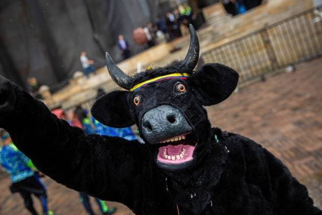 News Themen der Woche KW19 News Bilder des Tages May 7, 2024, Bogota, Colombia: A performer is seen during an anti-bullfighting performance in front of the Bogota Congress. Colombia very close to ban bullfighting. The Congress last decision that should have been taken today has been delayed until tomorrow. During the meeting a group of animalist perform in front of the Congress in Bogota waiting for the Government s decision. Bogota Colombia - ZUMAs197 20240507_aaa_s197_351 Copyright: xAntonioxCasciox