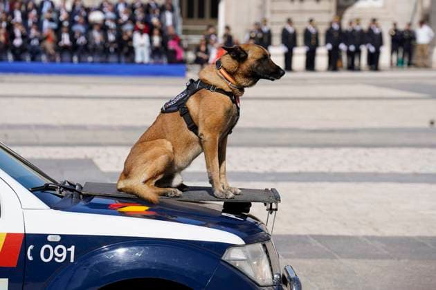 Entertainment Themen der Woche KW19 Royals At Preside Over The Bicentenary Of The National Police - Madrid Photographs of the event for the Bicentenary of the National Police, on May 8, 2024, in Madrid (Spain). On January 13, the National Police celebrated 200 years of history. Under the slogan Committed to you . This bicentenary commemorates the main episodes in the history of the National Police, its image in the eyes of citizens, the sense of belonging of its members and its recognition as a reference operator in public safety, both nationally and internationally. Photo by Angel Diaz Brinas Europa Press ABACAPRESS.COM Madrid Spain  Copyright: xEuropaxPress ABACAx