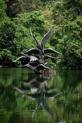 The Swan Lake located at the Singapore Botanic Gardens in Singapore. 24476946 RECORD DATE NOT STATED