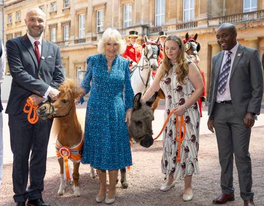 Entertainment Themen der Woche KW19 . 09 05 2024. London, United Kingdom. Queen Camilla hosts a reception at Buckingham Palace in London, to mark the 90th Anniversary of Brooke, a charity dedicated to improving the lives of working horses, donkeys, and mules.  xPoolx xi-Imagesx IIM-25201-0002