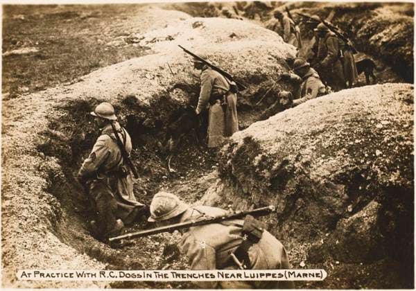RECORD DATE NOT STATED French trenches WWI Practice with RC dogs in the trenches near Luippes (Marne) during World War I Date: 1914  Copyright: Copyrightx(c)Geminix2023.xCredit:xGemini 10296461