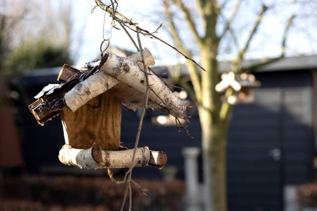 wooden birdhouse for birds on a tree in the Park,garden close-up handmade house for birds in nature forest, spring concept wooden birdhouse for birds on a tree in the Park,garden close-up handmade house for birds in nature forest, spring concept close up Copyright: x RECORD DATE NOT STATED