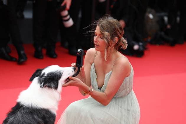 May 14, 2024, Cannes, Cote D azur, France: Dogtrainer LAURA MARTIN CONTINI and MESSI THE DOG known for his role as Snoop in the 2023 film Anatomy of a Fall attend the Opening Ceremony & The Second Act screening at the 77th Annual Cannes Film Festival at Palais des Festivals in Cannes, France Cannes France - ZUMAc179 20240514_zep_c179_197 Copyright: xMickaelxChavetx