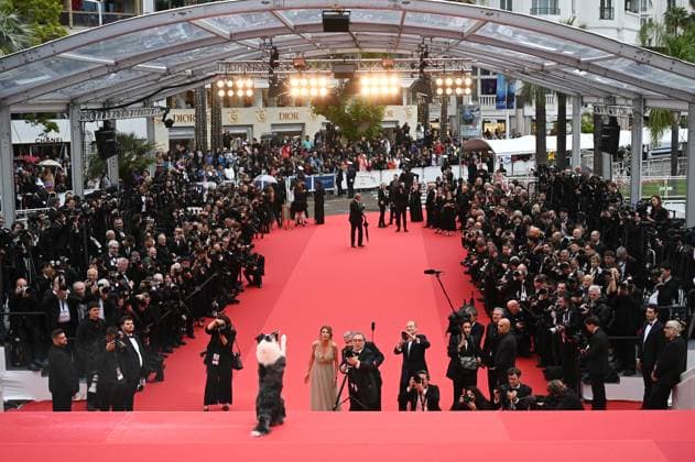 77eme Festival International du Film de Cannes Marches douverture Film Le second acte 77th International Cannes film Festival Opening Red Carpet Messi, le chien de Anatomie dune chute 304899 2024 05 14 France  Copyright: xSergexArnalx xStarfacex STAR_304899_010