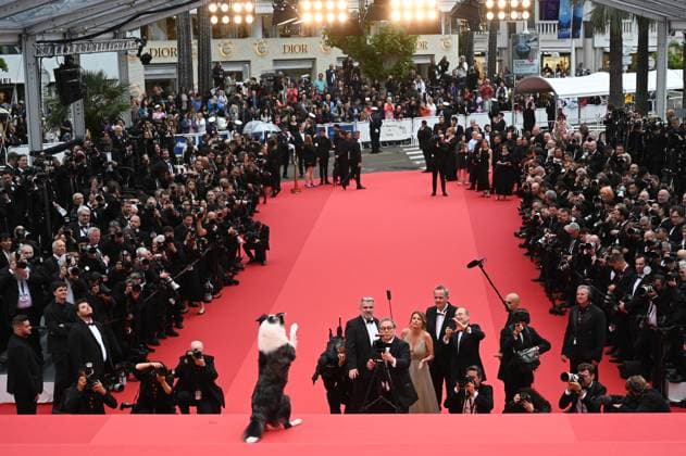 77eme Festival International du Film de Cannes Marches douverture Film Le second acte 77th International Cannes film Festival Opening Red Carpet Messi, le chien de Anatomie dune chute 304899 2024 05 14 France  Copyright: xSergexArnalx xStarfacex STAR_304899_012