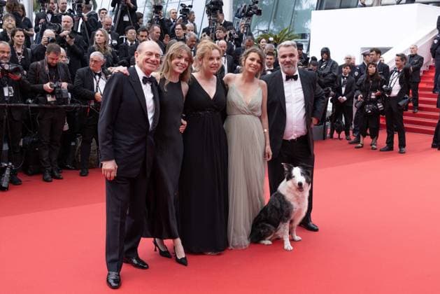 Cannes Opening Ceremony DB Messi the dog attends Le DeuxieÌÄme Acte ( The Second Act ) Screening & opening ceremony red carpet at the 77th annual Cannes Film Festival at Palais des Festivals on May 14, 2024 in Cannes, France. attend Le DeuxieÌÄme Acte ( The Second Act ) Screening & opening ceremony red carpet at the 77th annual Cannes Film Festival at Palais des Festivals on May 14, 2024 in Cannes, France. Photo by David Boyer ABACAPRESS.COM Cannes France  Copyright: xBoyerxDavid ABACAx