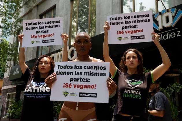 Mexiko, Protest gegen Fleischkonsum vor einem Restaurant in Mexiko-Stadt Animal protection activists accompany to activist and Model Atiya, that holds a placard with the slogan All bodies have the same parts while show her naked body painted with a diagram of the different types of cuts of meat outside an Argentine restaurant, during a peaceful protest, organized by Peta and Animal Heroes, to raise awareness about not consuming foods that contain meat. Mexico City Mexico - ZUMAe321 20240514_zia_e321_018 Copyright: xLuisxBarronx