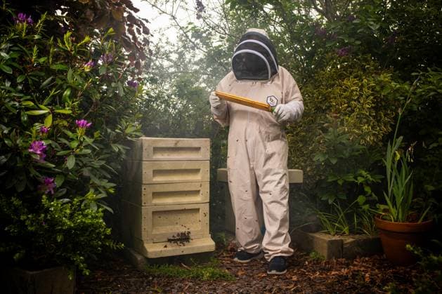 News Themen der Woche KW20 A beekeeper shares the heartfelt story behind his beekeeping journey ahead of World Bee Day (20 May). 73-year-old JosÃ Picouto, from Ammanford, Wales, lives with his wife, Jayne. JosÃ has been keeping honeybees for five years, a hobby that began with his son, Alex. It was something my son started off. It was a joint enterprise and after he passed away we had to make a decision whether we carry on with it or not. So we decided in his memory we™ll carry on and do the best we can. Hence I had to start learning from scratch. JosÃ finds joy in the simple act of caring for his two bee colonies, which thrive amidst a vibrant garden. He shares: Our garden, has benefited from the cross-pollination. Our plants and flowers are looking Copyright: xx coverimg53761272