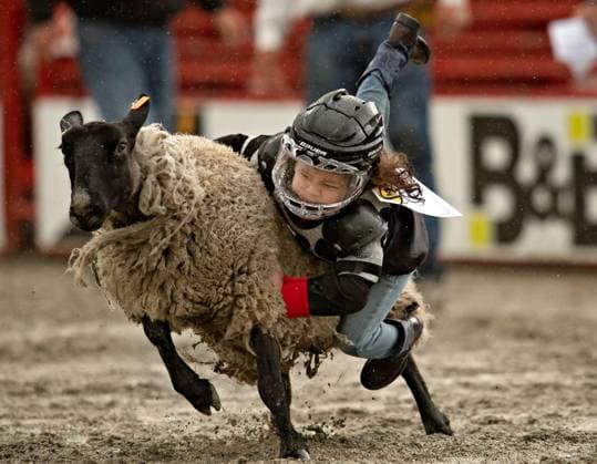 News Themen der Woche KW20 (240519) -- SURREY, May 19, 2024 -- A child performs in the mutton bustin (sheep riding) at the rodeo performance of the 76th annual Cloverdale Rodeo and Country Fair in Surrey, British Columbia, Canada, May 18, 2024. (Photo by Xinhua) (SP)CANADA-SURREY-CANADA-RODEO PERFORMANCE AndrewxSoong 