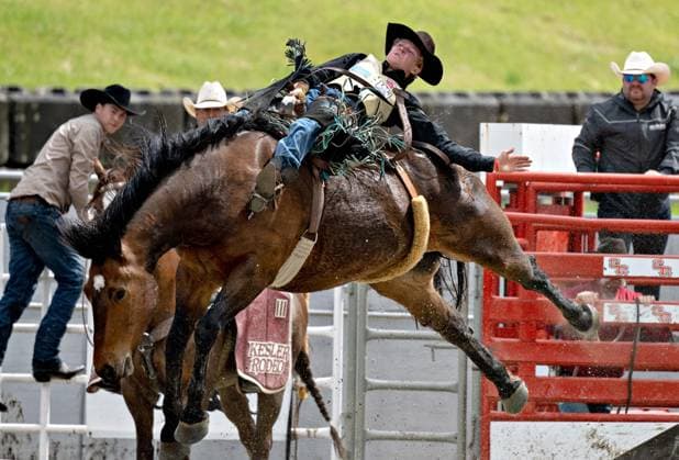 (240519) -- SURREY, May 19, 2024 -- A participant performs in the bareback riding at the rodeo performance of the 76th annual Cloverdale Rodeo and Country Fair in Surrey, British Columbia, Canada, May 18, 2024. (Photo by Xinhua) (SP)CANADA-SURREY-CANADA-RODEO PERFORMANCE AndrewxSoong 