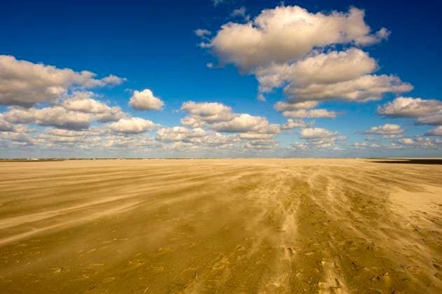 Sandy Plain with Wind on Schiermonnikoog Huge & Windy Sandy Plain with Drifting Sand on Schiermonnikoog, one of the Dutch Wadden Islands, during a Fall Season Afternoon. Schiermonnikoog Duin- en bosgebied Groningen Nederland Copyright: xGuidoxKoppesxPhotox