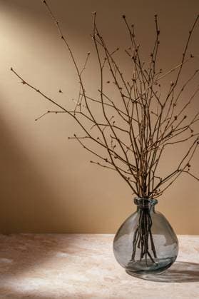 a glass vase on the table in the sunlight with dry tree branches R_KUAL240520-1438219-01