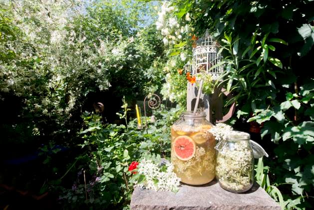IMAGO Creative: Sommer, Sommertage im Garten Jars of lemonade on pedestal standing in garden property released, HHF05978