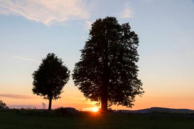 Sonnenaufgang an der Pfarrlinde, Winterlinde (Tilia cordata), Frankenthal, Sachsen, Deutschland *** Sunrise at the parish lime tree, Tilia cordata , Frankenthal, Saxony, Germany