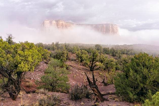 Creative Highlights World Foggy morning at Colorado monument with rocky cliff in background United States, Colorado, Grand Junction R_PALI240523DD-1327191-01