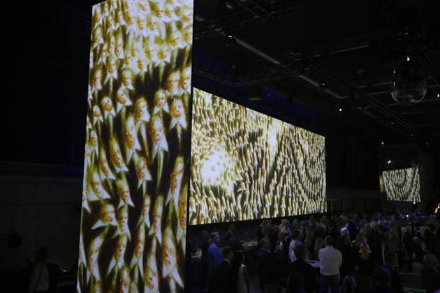 27.05.2024 Dortmund, Eröffnung Sonderausstellung In Motion Art & Football. Die immersive Schau ist ab dem 28. Mai in der Arena des DFB Fußballmuseums für das Publikum zu sehen. Sie läuft bis Januar 2025.