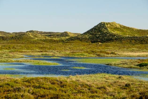 14. 05. 2024 Sylt Die Bewegung der Dünen, getrieben von Wind und Wetter, formen ständig die Landschaft um und prägen damit auch das Ökosystem Sylt Schleswig Holstein Deutschland *** 14 05 2024 Sylt The movement of the dunes, driven by wind and weather, constantly reshape the landscape and thus also shape the ecosystem of Sylt Schleswig Holstein Germany