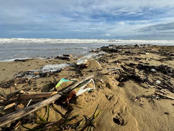 Lido di Jesolo, Italy - 2 May 2024: polluted beach by the sea after a storm. Dirt and plastic washed up from the sea at the vacation resort of Lido di Jesolo in Italy *** verschmutzter Strand am Meer nach einem Unwetter. Aus dem Meer wurde Dreck und Plastik angespült am Urlaubsort Lido di Jesolo in Italien