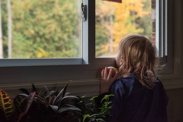 Child holding an apple, looking out a window at autumn foliage Kincardine, Ontario, Canada CR_ATBL240528EF-1441027-01 ,model released, Symbolfoto
