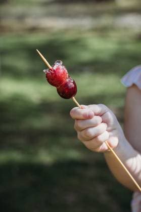 Close up of child holding tanghulu candied fruit snack Jackson, Missouri, United States R_WEKW240517-1434214-01 ,model released, Symbolfoto