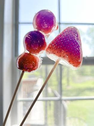 Candied strawberries and grapes on skewers by kitchen window Jackson, Missouri, United States R_WEKW240517-1434215-01