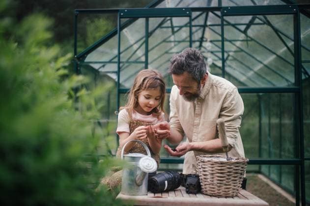 IMAGO Creative: Garten, Anbau im Gewächshaus Fater and girl working together in garden, planting seedlings, spending time togeter, have shared hobby. Fatherhood and Father s Day concept. Fater and girl working together in garden, planting seedlings, spending time togeter, have a shared hobby. Fatherhood and Father s Day concept. model released