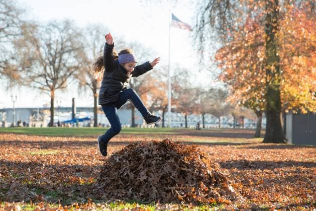 IMAGO Creative, Jahreszeit Herbst, Ferien Happy girl jumping into pile of leaves at a park in Oregon. Portland, Oregon, United States R_RMAU240404E2-1372588-01 ,model released, Symbolfoto