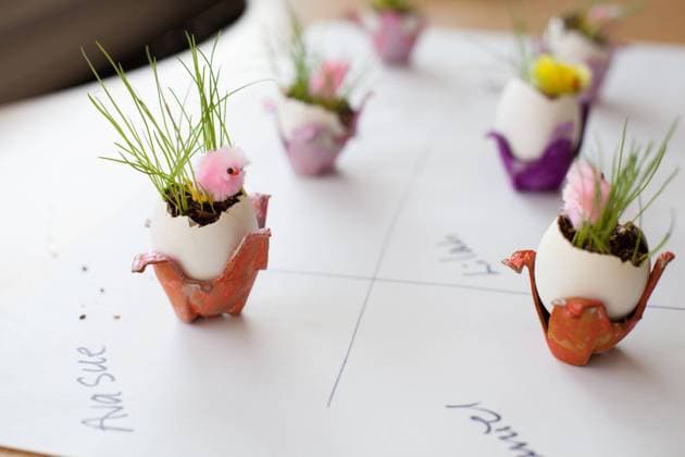 Children s craft: eggshell planters with baby chicks for Easter. Ventura, California, United States R_RMAU240404E2-1372642-01