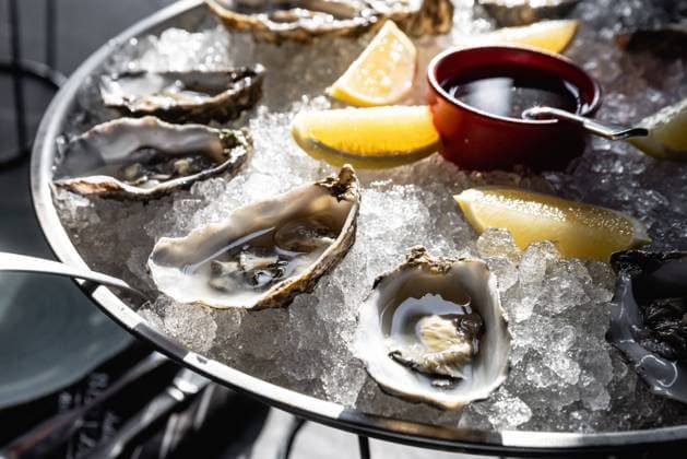 Oysters on metal tray with ice, lemon Restaurant menu, dieting, cookbook recipe. Expensive meal. Healthy food, gourmet, raw sea ocean. professional chef cooks set seafood sauce Cooking mediterranean Oysters on metal tray with ice, lemon Restaurant menu, dieting, cookbook recipe. Expensive meal. Healthy food, gourmet, raw sea ocean. professional chef cooks set seafood sauce Cooking mediterranean. High quality photo Copyright: xZoonar.com AntonxYulikovx 19532064