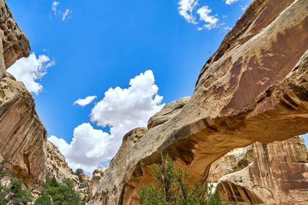 Creative Highlights World Utah, United States of America - June 8, 2024: Hickman Bridge in Capitol Reef National Park in the state of Utah, USA *** Hickman Brücke im Capitol Reef National Park im Bundesstaat Utah, USA