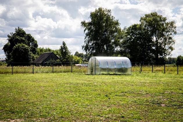 IMAGO Creative: Garten, Anbau im Gewächshaus Greenhouse for growing plants, flowers. Hobby and healthy food. Copyright: xEdgarsxSermulisx