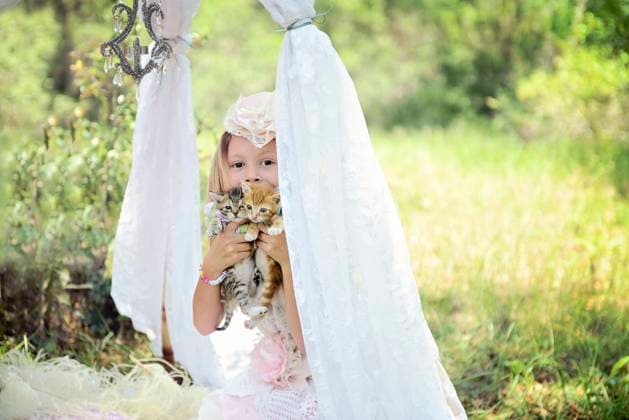 Creative Highlights Symbolbilder Girl holding two kittens under a lace canopy in a garden. United States, Florida, Floral City R_YWQX240605C-1449380-01 ,model released, Symbolfoto
