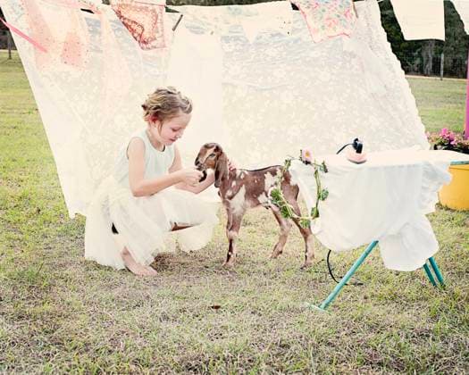 Creative Highlights Symbolbilder Girl feeding a small goat near clothesline with iron and flower United States, Florida, Floral City R_YWQX240605C-1449389-01 ,model released, Symbolfoto
