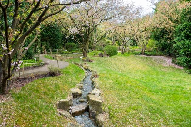 typische Gestaltung eines japanischen Garten mit Steinen und Wasserläufen, japanischer Garten, Gärten der Welt, Berlin, Deutschland mcpins *** typical design of a Japanese garden with stones and watercourses, Japanese garden, Gardens of the World, Berlin, Germany mcpins mcpins