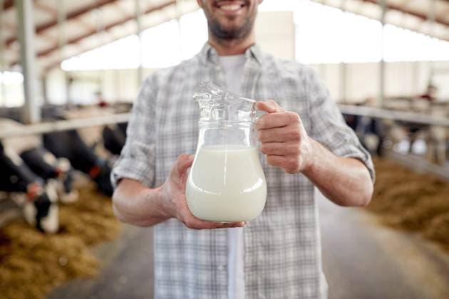agriculture industry, farming, people and animal husbandry concept - happy smiling young man or farmer with cows milk in jug at cowshed on dairy farm ,model released, Symbolfoto; Landwirtschaft industry, farming, Personen und Tier husbandry Konzept glücklich lächelnd Jung Mann Oder Landwirt mit Kühe Milch in Kanne im Kuhstall am Molkerei Hof ,model released, Symbolfoto ING_33594_206519