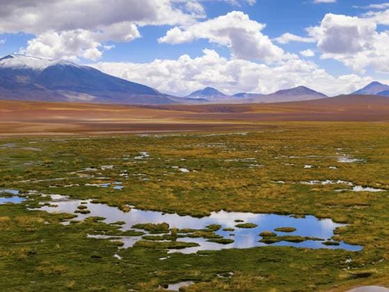 Creative Highlights World Highland landscape with tundra, mountains and lagoons, Atacama Desert, Chile, South America *** Highland Landscape With tundra, Mountains and lagoons, Atacama Desert, Chile, South America Copyright: imageBROKER BerndxBieder ibxbmb10747583.jpg