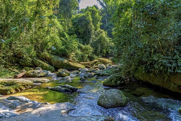Creative Highlights World Beautiful river crossing the rainforest between the stones and vegetation in Ilhabela, Ilhabela, Sao Paulo, Brazil, South America *** Beautiful River Crossing The RAINFOREST between The Stones and Vegetation in Ilhabela, Ilhabela, Sao Paulo, Brazil, South America Copyright: imageBROKER FredxPinheiro ibxcpi10809124.jpg