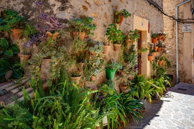 Beautiful decorated wall with plants in pots attached to a old wall in Valldemossa, Majorca, horizontal shot during sunny day, Mallorca Beautiful decorated wall with plants in pots attached to a old wall in Valldemossa, Majorca, horizontal shot during sunny day, Mallorca Copyright: xZoonar.com MarkusxBeckx 21782490