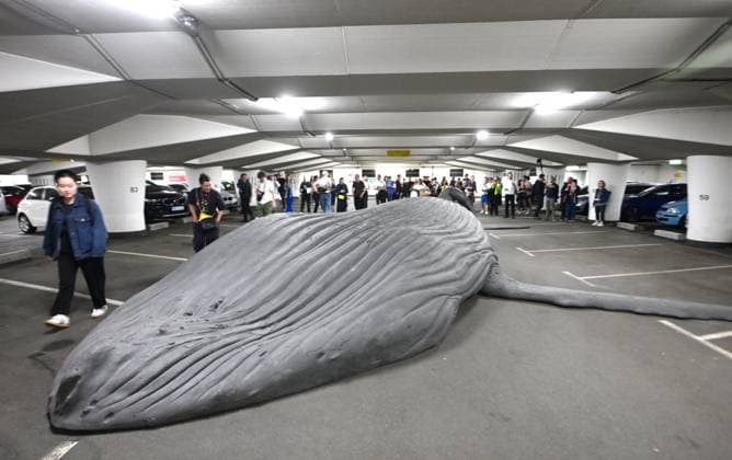 Bilder des Jahres 2024, News 06 Juni News Bilder des Tages Gegenwarten II in Chemnitz Im Sommer 2024 findet unter dem Titel New Ecologies- Gegenwarten II ein Public Art-Projekt in der Innenstadt von Chemnitz statt. Vom 22.Juni bis 29.September werden Werke von international renommierten Künstler:innen ebenso wie von lokalen Netzwerken und Initiativen laden in diesem ambitionierten Ausstellungsprojekt zur Auseinandersetzung mit der Klimakrise ein.In insgesamt mehr als 20 künstlerischen Installationen und Interventionen werden die zentralen Themen und Motive der Klimakrise diskutiert. Dazu gehören die Bedrohung vieler Tierarten und die Folgen einer invasiven Pflanzenwelt ebenso wie viele ihrer Ursachen, z.B. die Mobilität der Zivilgesellschaft mit PKW und Flugzeug, oder das Verhältnis von Chemnitz_GegenwartenII_0012006-24