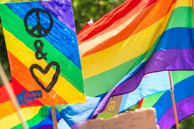 News Themen der Woche KW25 News Bilder des Tages CSD 2024, Regenbogenfahnen bei der CSD Politparade, München, 22. Juni 2024 Deutschland, München, 22. Juni 2024, Regenbogenfahnen beim CSD 2024, Munich Pride 2024, Motto Vereint in Vielfalt - gemeinsam gegen Rechts, CSD-Politparade, Christopher Street Day, größte Demonstration von Lesben, Schwulen, Bisexuellen, trans*, inter* und queeren Menschen (LGBTIQ*) für gleiche Rechte und gesellschaftliche Akzeptanz im süddeutschen Raum, Demozug quer durch die Münchner Innenstadt vom Mariahilfplatz über die Reichenbachbrücke bis zur Brienner Straße, Regenbogenfahnen, Pride Week, Community, Solidarität, Demonstration, feiern, Bayern, bayerisch, *** CSD 2024, rainbow flags at the CSD Politparade, Munich, June 22, 2024 Germany, Munich, June 22