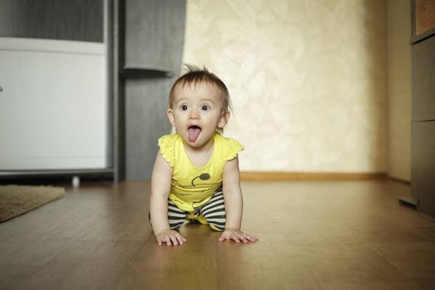 Creative Highlights Symbolbilder Baby crawling on a wooden floor wearing a yellow shirt and black and white striped pants, playfully sticking out tongue *** Baby crawling ON a Wooden Floor Wearing a Yellow Shirt and Black and White Striped pants, playfully sticking out Tongue Copyright: imageBROKER mastak80 ibxiiv10829437.jpg ,model released, Symbolfoto ,property released