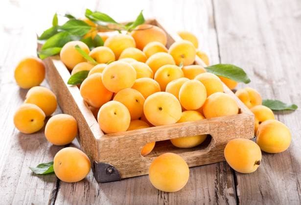 fresh apricots in wooden box ,model released, Symbolfoto; Frisch Aprikosen in hölzern Schachtel ,model released, Symbolfoto ING_36820_02324 RECORD DATE NOT STATED