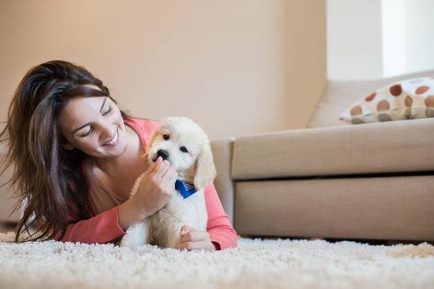 Woman lying on floor with a puppy ,model released, Symbolfoto; Frau liegendes am Boden mit einer Welpe ,model released, Symbolfoto ING_37293_02899