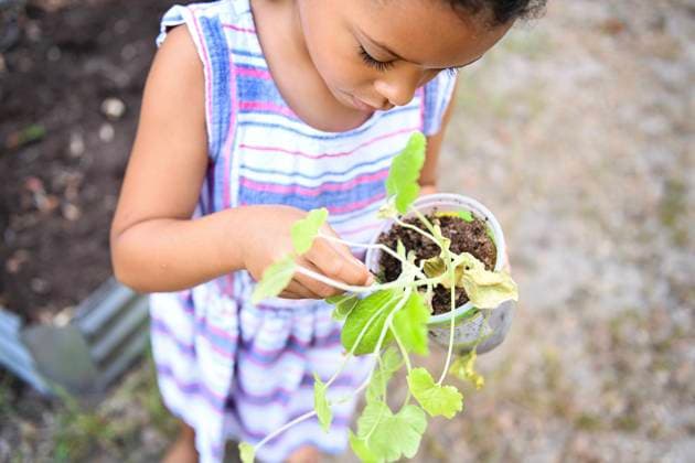 Creative Highlights Symbolbilder Close-up of a girl examining a potted seedling outdoors. United States, Florida, Inverness CR_YWQX240621D-1460751-01 ,model released, Symbolfoto