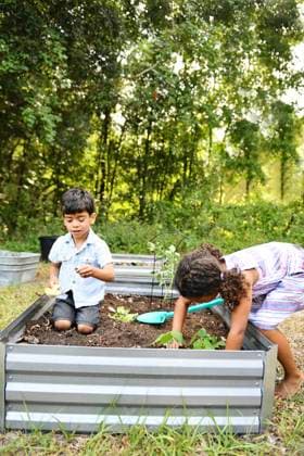 IMAGO Creative, Sommer, Sommertage im Garten Siblings gardening together in raised beds, planting and digging United States, Florida, Inverness CR_YWQX240621D-1460774-01 ,model released, Symbolfoto